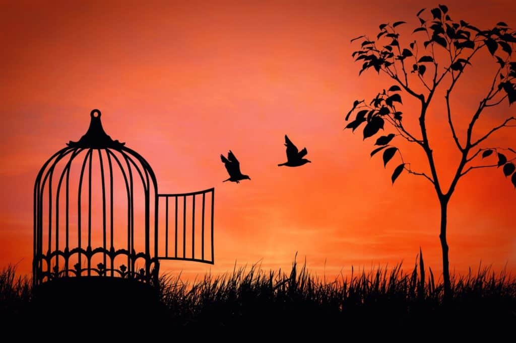 freedom